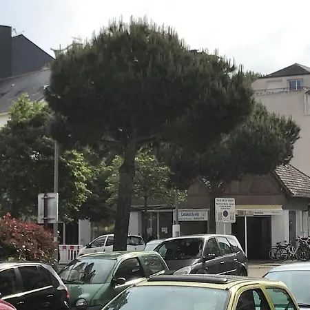 Terrasse Renove A Neuf * La Baule