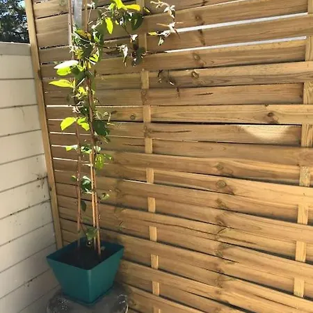 Terrasse Renove A Neuf *